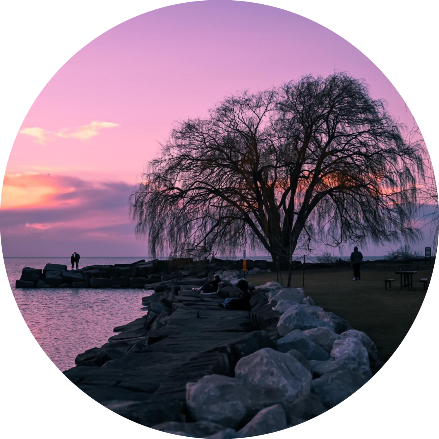 "Willow at Edgewater"