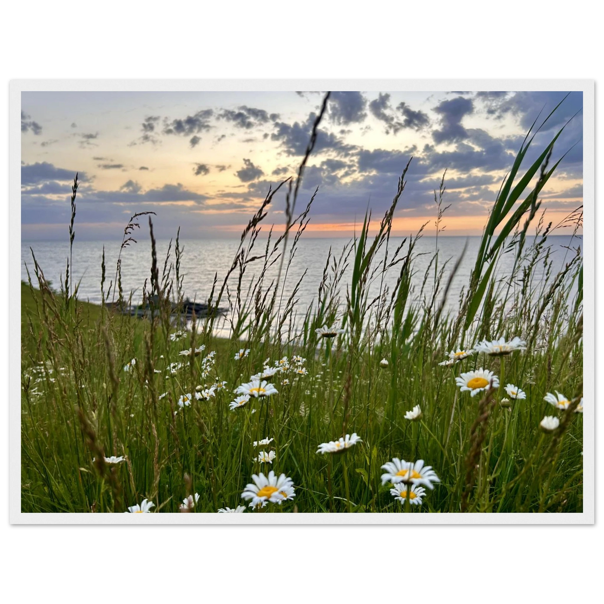 038cbf53-31ff-4356-b987-9c5318c581a4