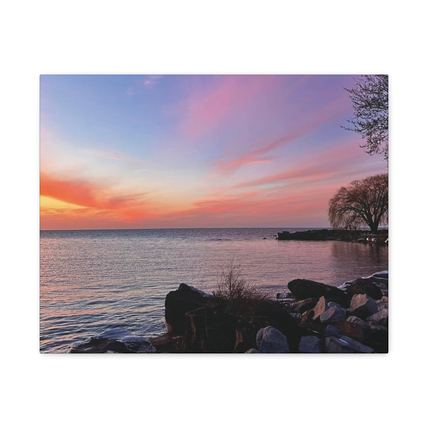 Colorful Canvas Print • "Willow at Edgewater" • Vertical or Horizontal orientations • Sizes from 8"x10" to 30"x40"