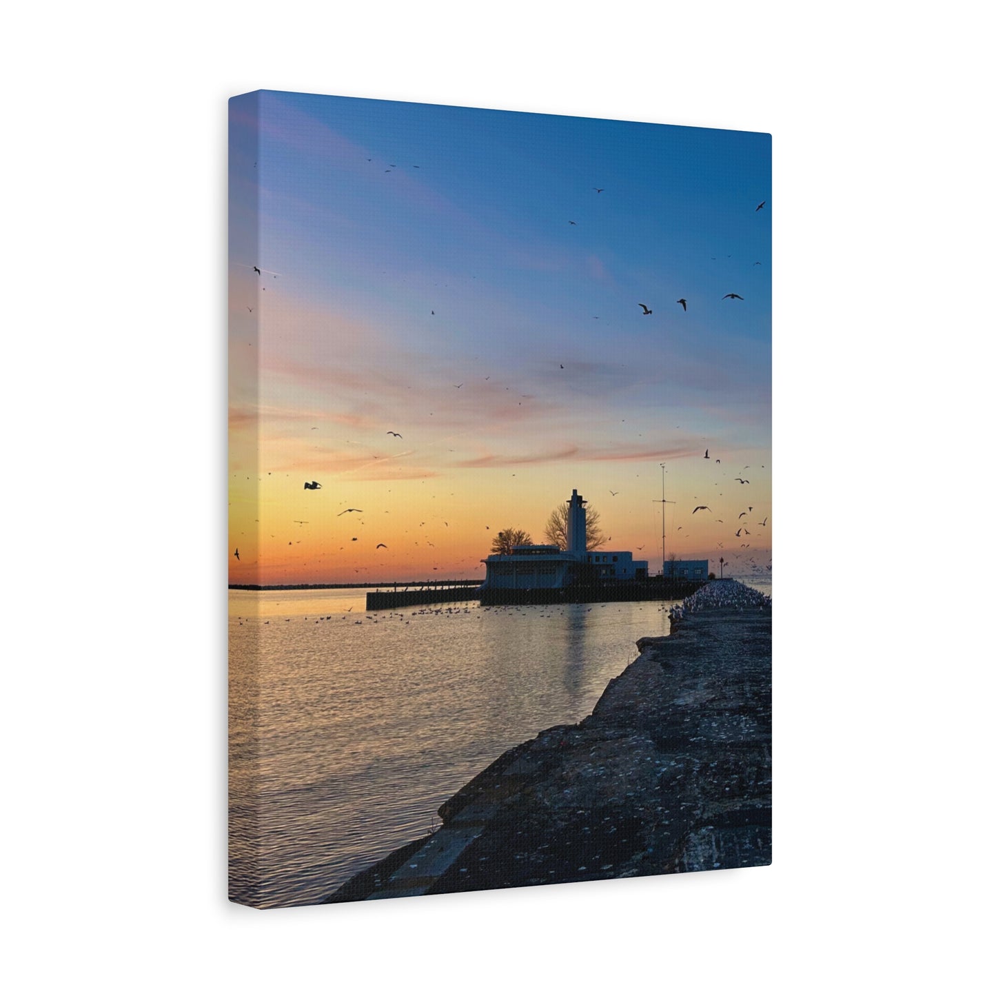 Colorful Canvas Print • "Breakwater Birds" • Vertical or Horizontal orientations • Sizes from 8"x10" to 30"x40"