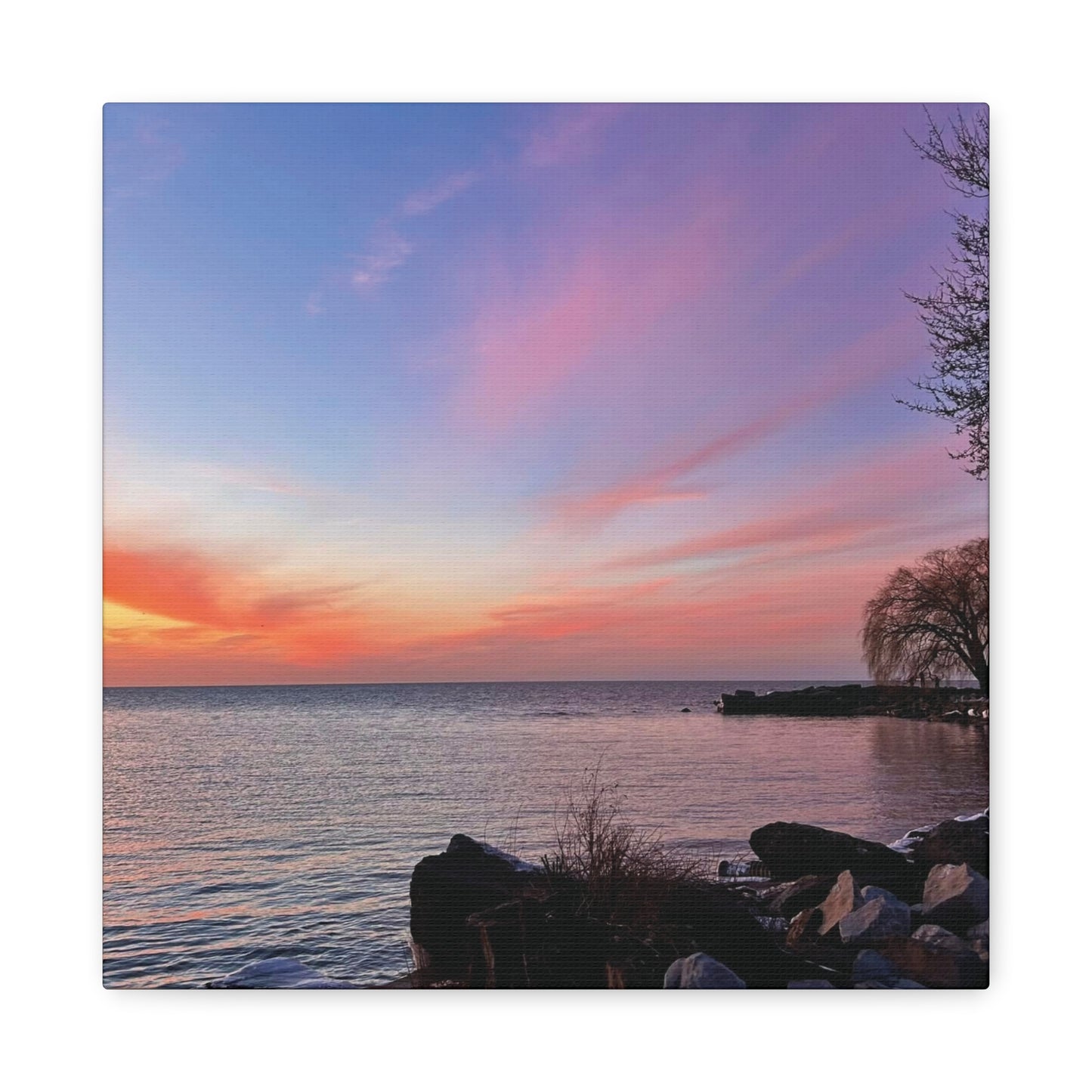 Colorful Canvas Print • "Willow at Edgewater" • Vertical or Horizontal orientations • Sizes from 8"x10" to 30"x40"