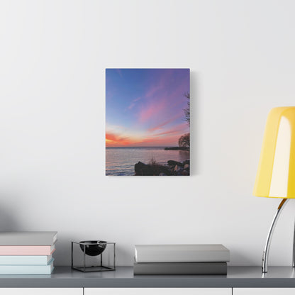 Colorful Canvas Print • "Willow at Edgewater" • Vertical or Horizontal orientations • Sizes from 8"x10" to 30"x40"
