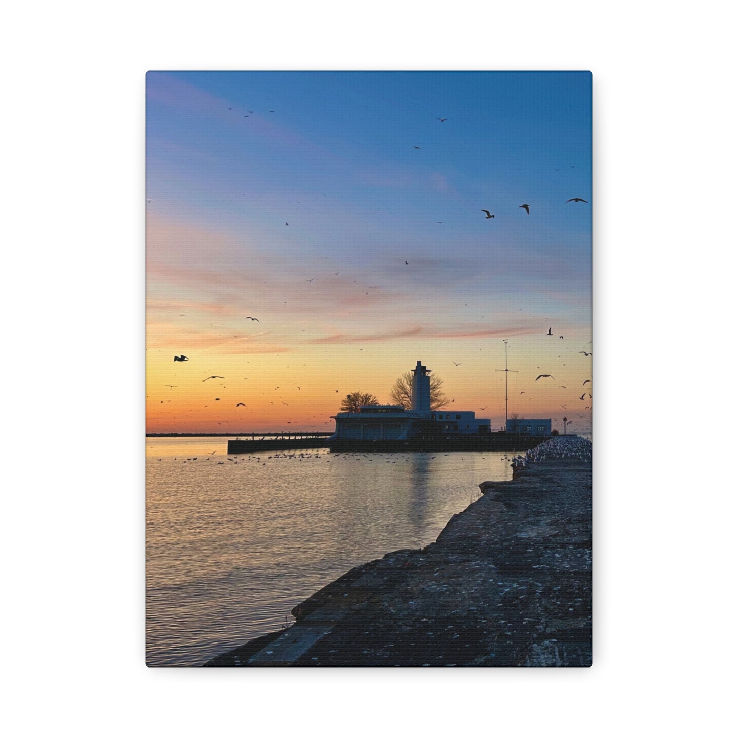 Colorful Canvas Print • "Breakwater Birds" • Vertical or Horizontal orientations • Sizes from 8"x10" to 30"x40"