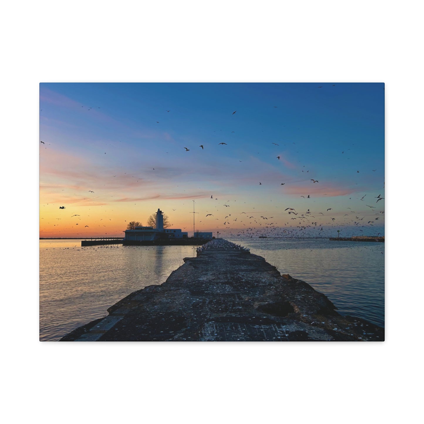Colorful Canvas Print • "Breakwater Birds" • Vertical or Horizontal orientations • Sizes from 8"x10" to 30"x40"