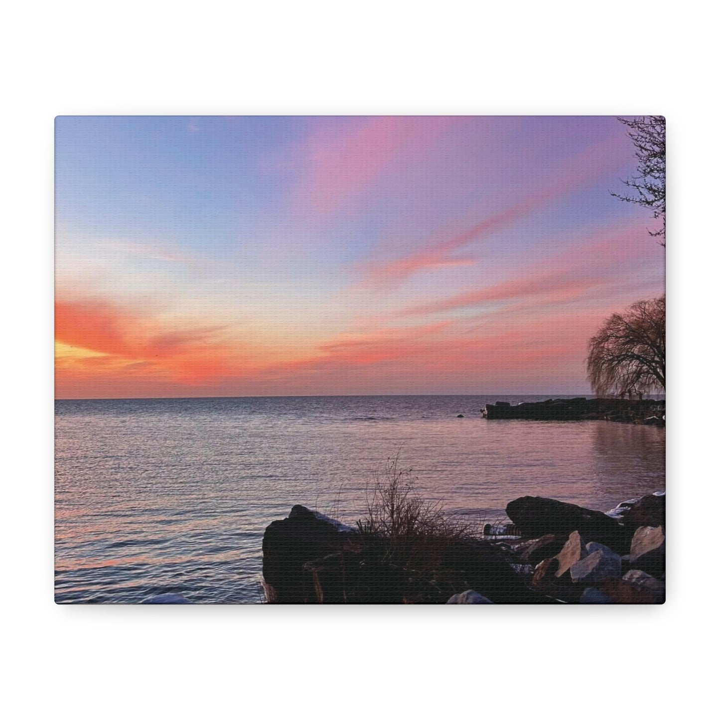 Colorful Canvas Print • "Willow at Edgewater" • Vertical or Horizontal orientations • Sizes from 8"x10" to 30"x40"