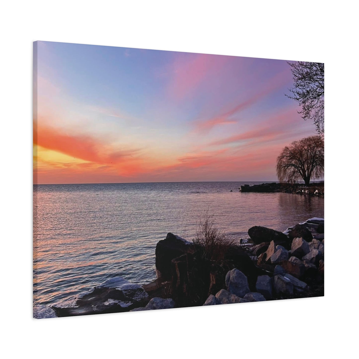 Colorful Canvas Print • "Willow at Edgewater" • Vertical or Horizontal orientations • Sizes from 8"x10" to 30"x40"