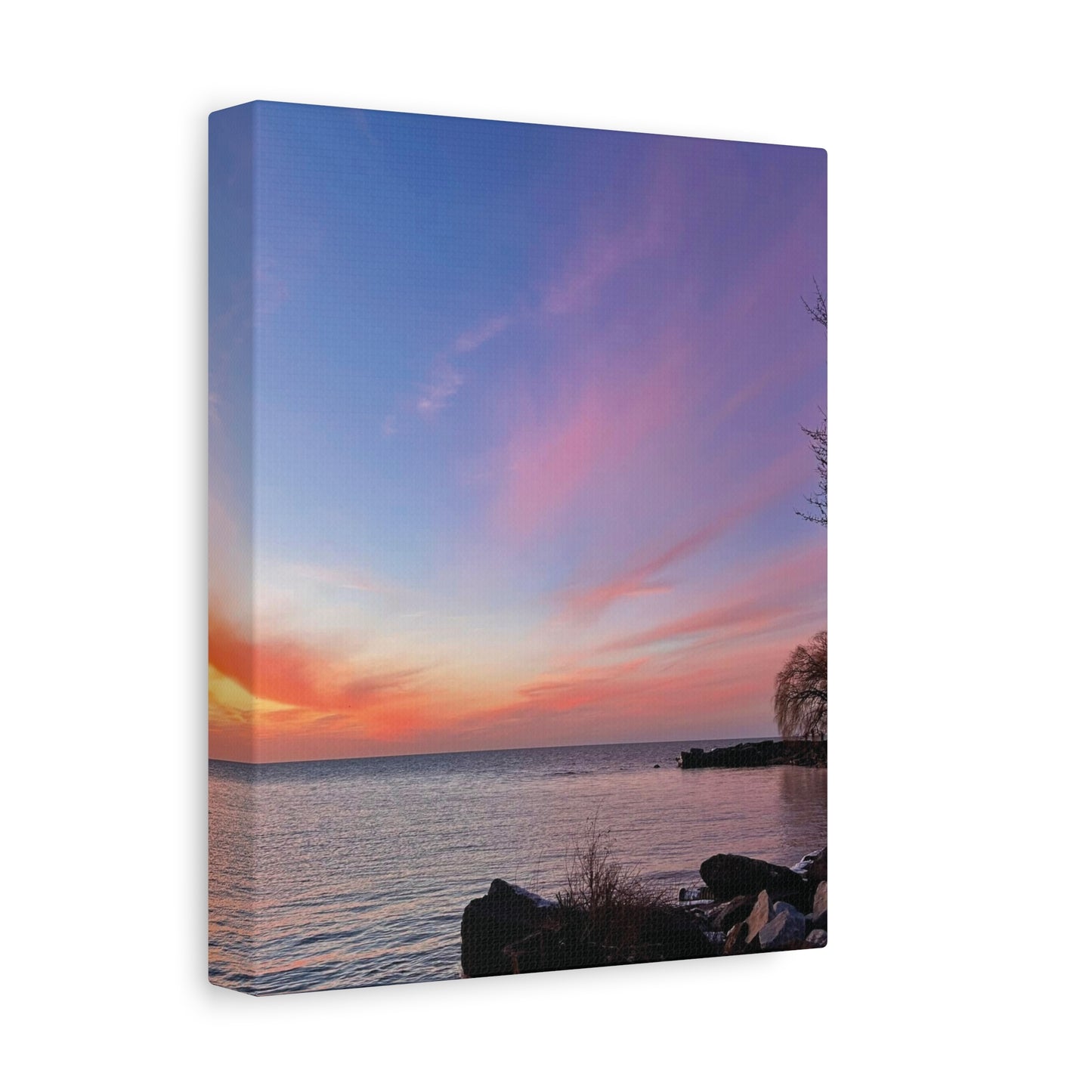 Colorful Canvas Print • "Willow at Edgewater" • Vertical or Horizontal orientations • Sizes from 8"x10" to 30"x40"