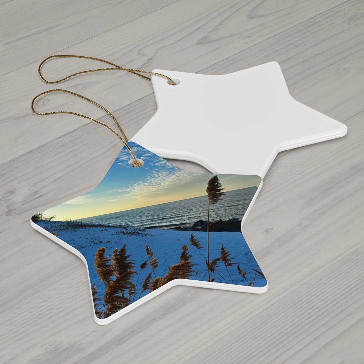 Lake Erie Obsessed Ceramic Christmas Ornaments • Star, Circle, Heart, or Snowflake keepsake