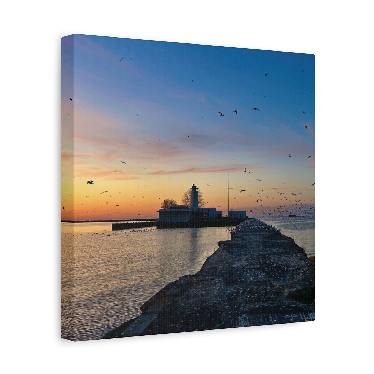 Colorful Canvas Print • "Breakwater Birds" • Vertical or Horizontal orientations • Sizes from 8"x10" to 30"x40"