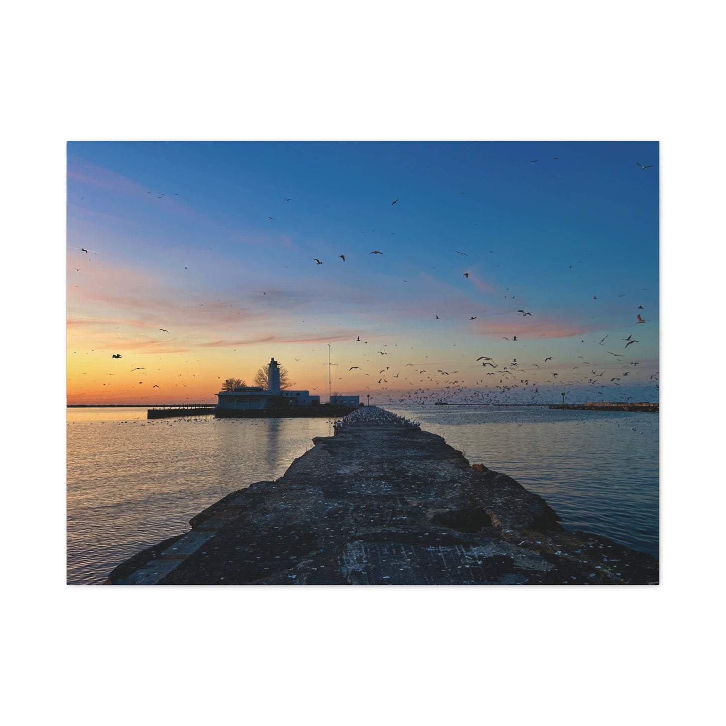 Colorful Canvas Print • "Breakwater Birds" • Vertical or Horizontal orientations • Sizes from 8"x10" to 30"x40"