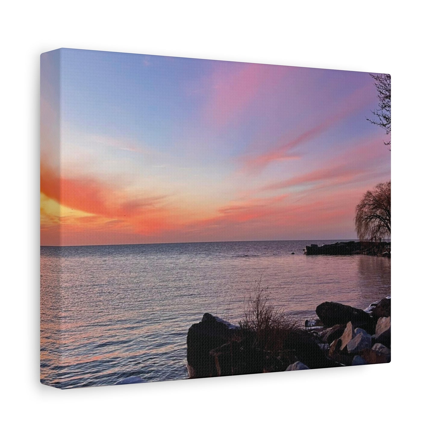 Colorful Canvas Print • "Willow at Edgewater" • Vertical or Horizontal orientations • Sizes from 8"x10" to 30"x40"