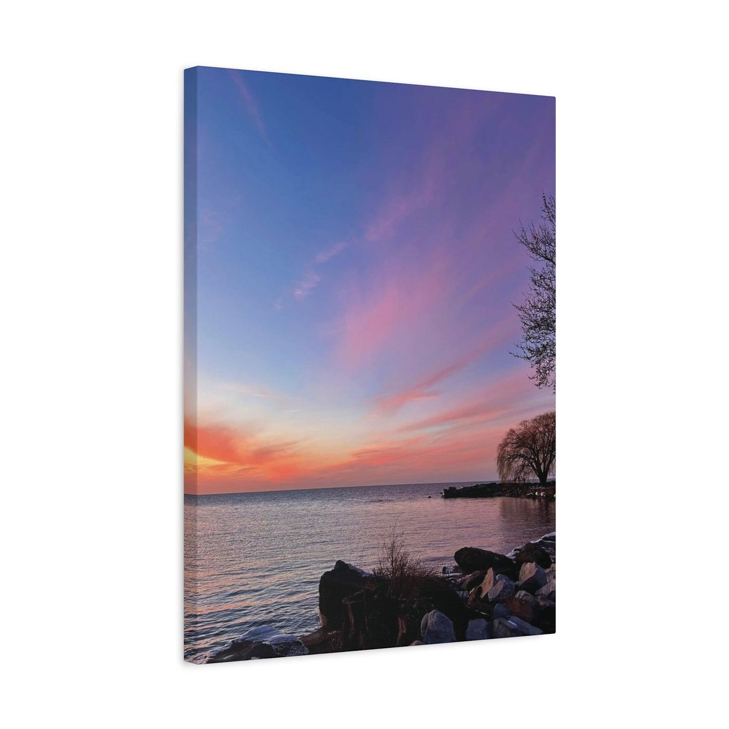 Colorful Canvas Print • "Willow at Edgewater" • Vertical or Horizontal orientations • Sizes from 8"x10" to 30"x40"