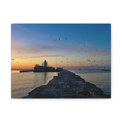 Colorful Canvas Print • "Breakwater Birds" • Vertical or Horizontal orientations • Sizes from 8"x10" to 30"x40"
