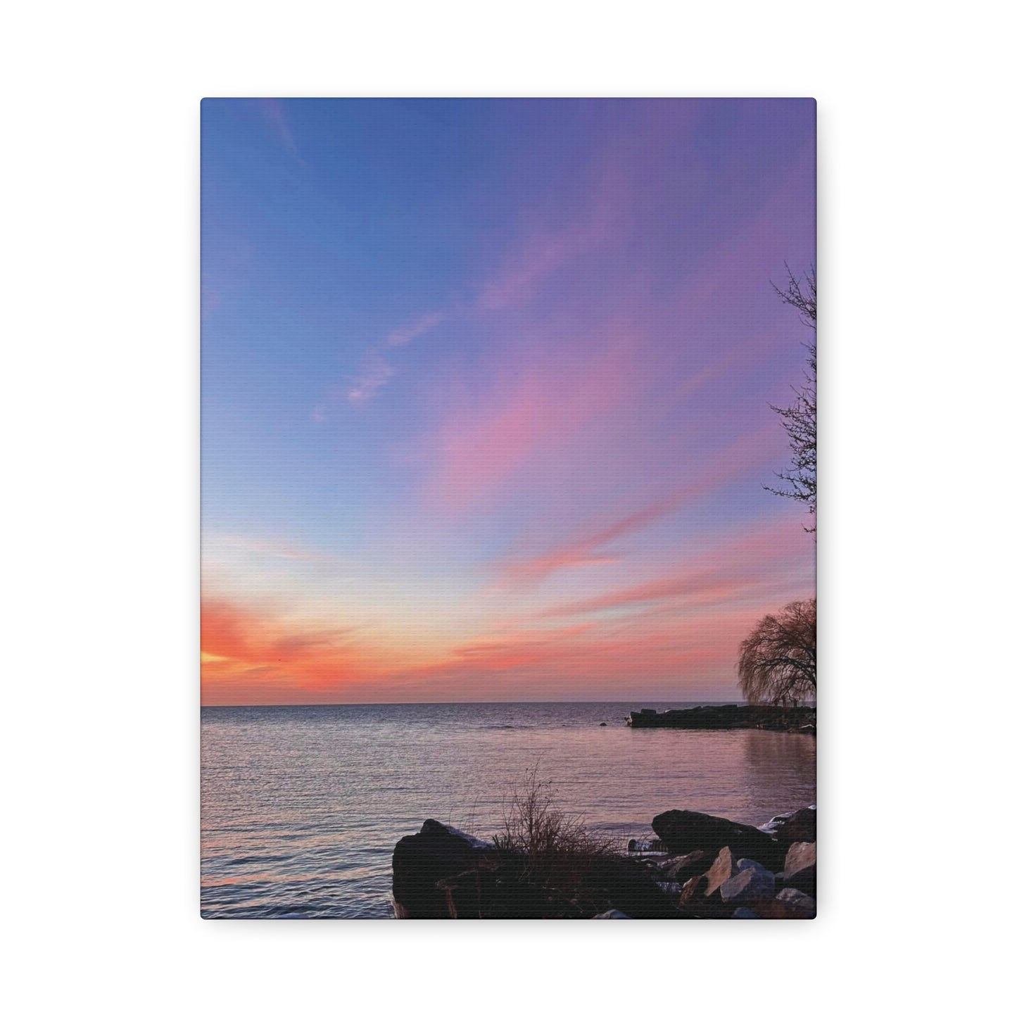 Colorful Canvas Print • "Willow at Edgewater" • Vertical or Horizontal orientations • Sizes from 8"x10" to 30"x40"