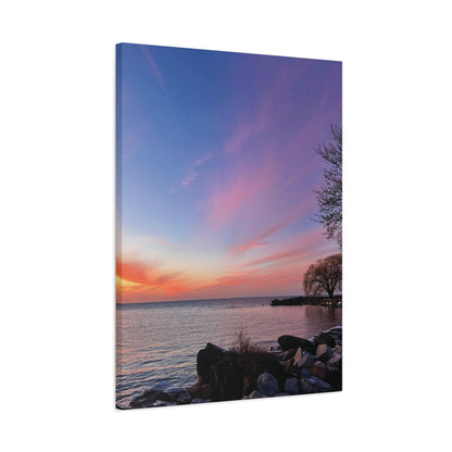 Colorful Canvas Print • "Willow at Edgewater" • Vertical or Horizontal orientations • Sizes from 8"x10" to 30"x40"
