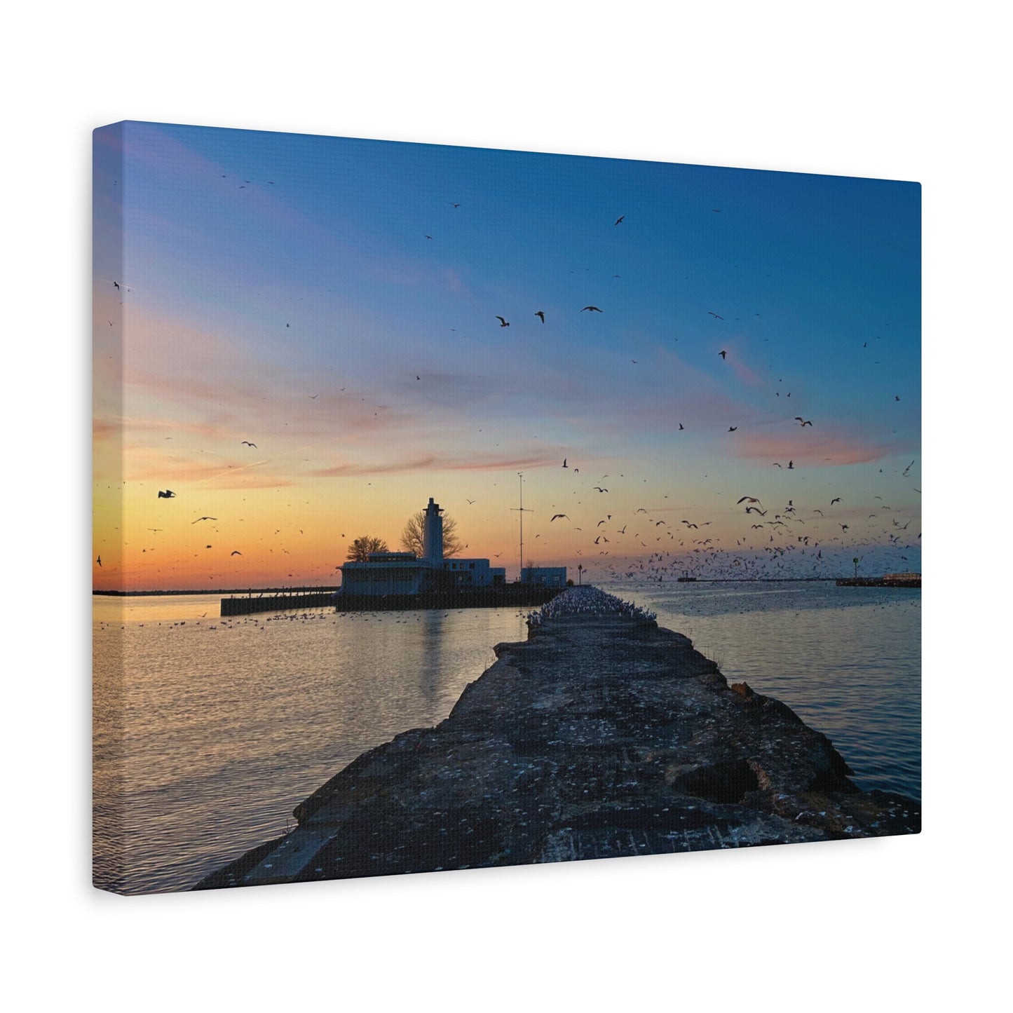 Colorful Canvas Print • "Breakwater Birds" • Vertical or Horizontal orientations • Sizes from 8"x10" to 30"x40"