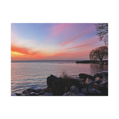 Colorful Canvas Print • "Willow at Edgewater" • Vertical or Horizontal orientations • Sizes from 8"x10" to 30"x40"