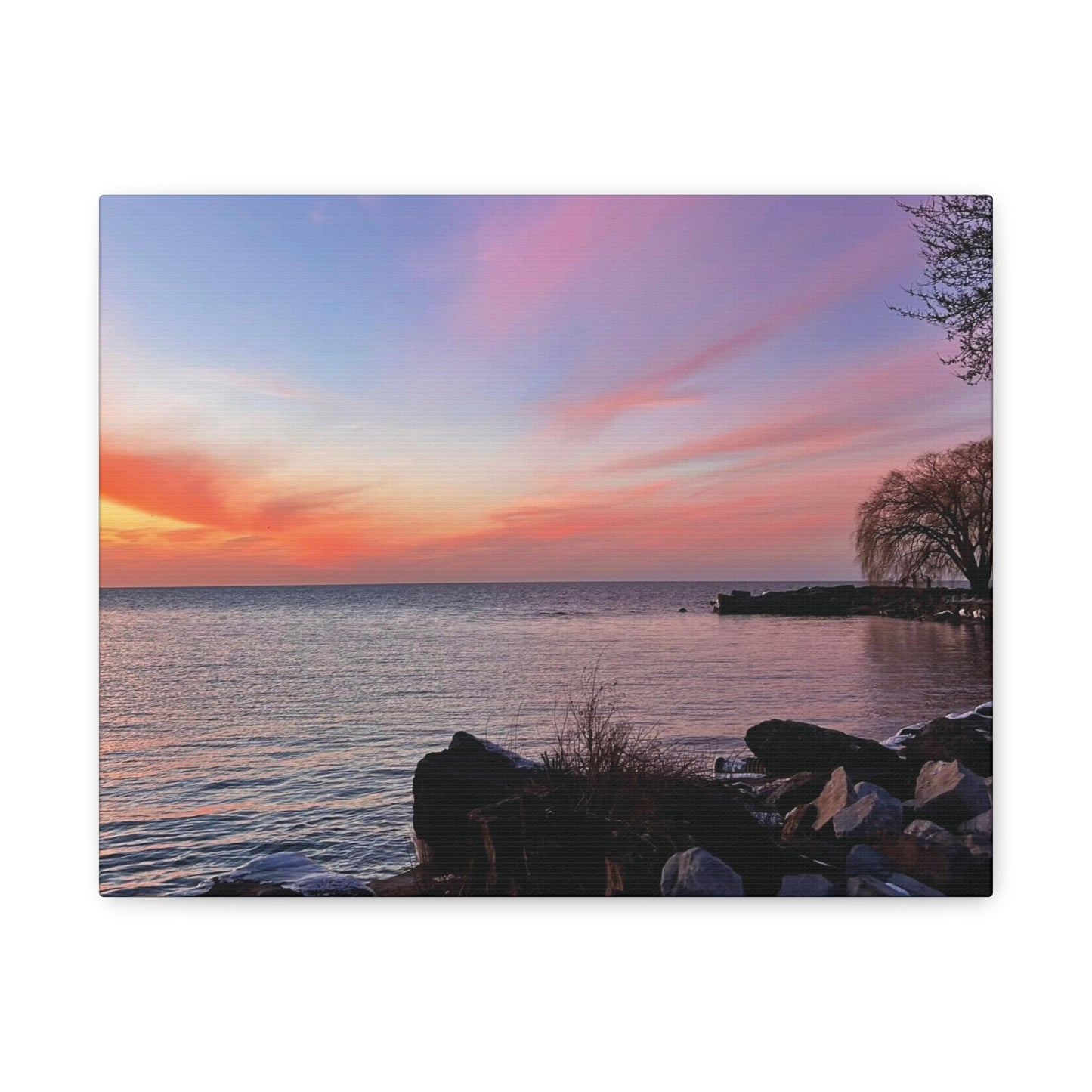 Colorful Canvas Print • "Willow at Edgewater" • Vertical or Horizontal orientations • Sizes from 8"x10" to 30"x40"