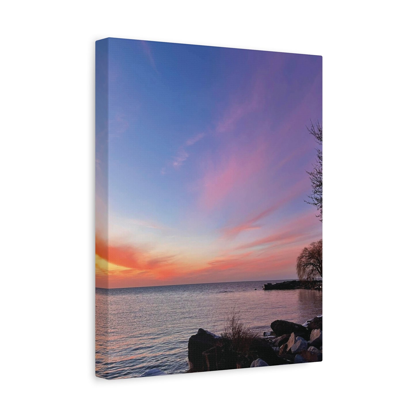 Colorful Canvas Print • "Willow at Edgewater" • Vertical or Horizontal orientations • Sizes from 8"x10" to 30"x40"