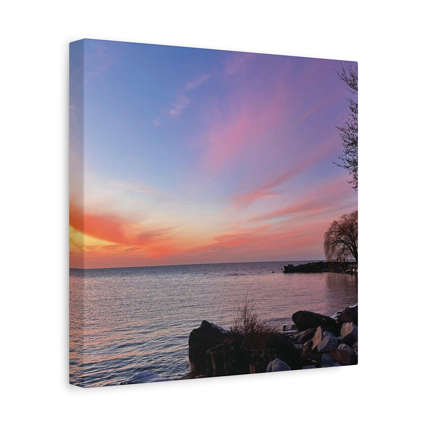 Colorful Canvas Print • "Willow at Edgewater" • Vertical or Horizontal orientations • Sizes from 8"x10" to 30"x40"