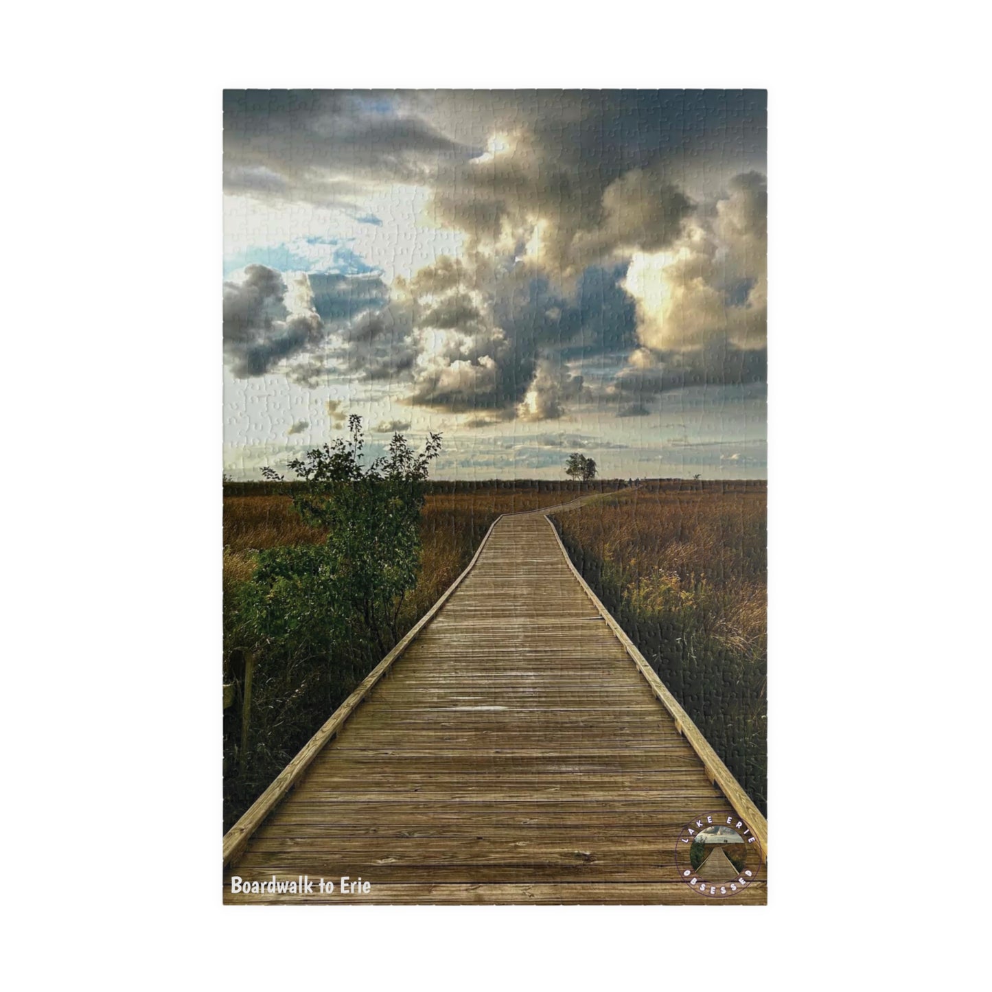 Dazzling Jigsaw Puzzle • "Boardwalk to Erie" • 110, 252, 520, & 1014-Piece Puzzles