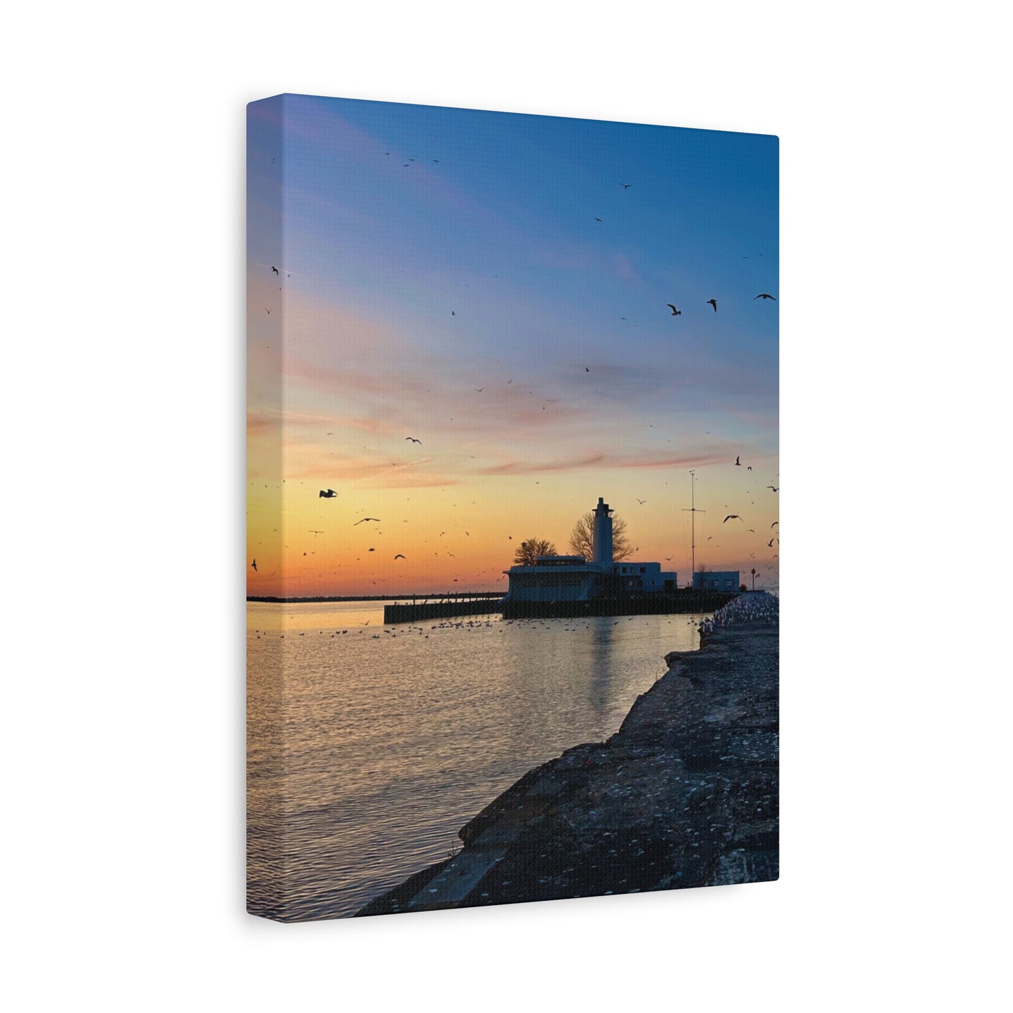 Colorful Canvas Print • "Breakwater Birds" • Vertical or Horizontal orientations • Sizes from 8"x10" to 30"x40"