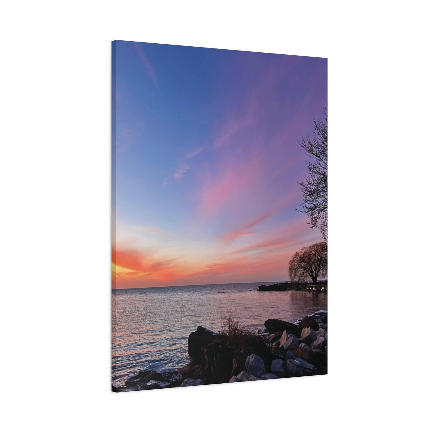 Colorful Canvas Print • "Willow at Edgewater" • Vertical or Horizontal orientations • Sizes from 8"x10" to 30"x40"