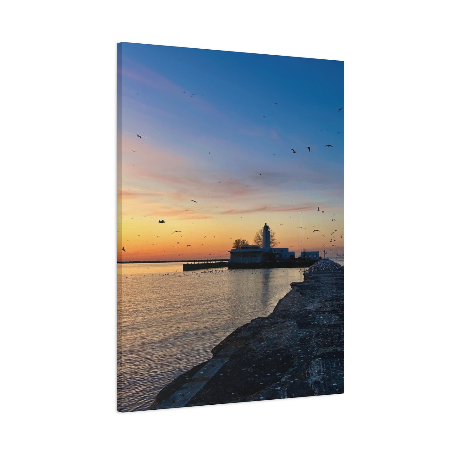 Colorful Canvas Print • "Breakwater Birds" • Vertical or Horizontal orientations • Sizes from 8"x10" to 30"x40"