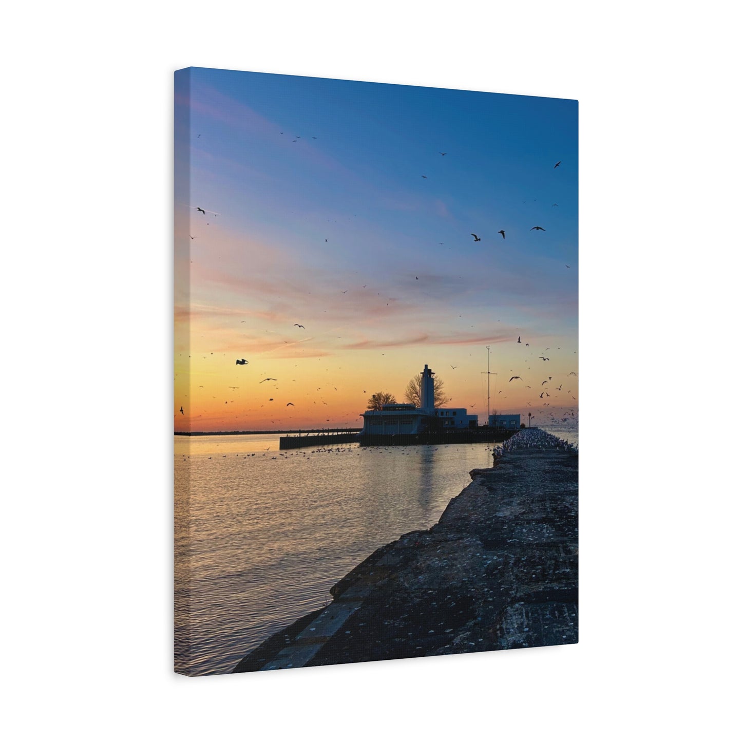 Colorful Canvas Print • "Breakwater Birds" • Vertical or Horizontal orientations • Sizes from 8"x10" to 30"x40"