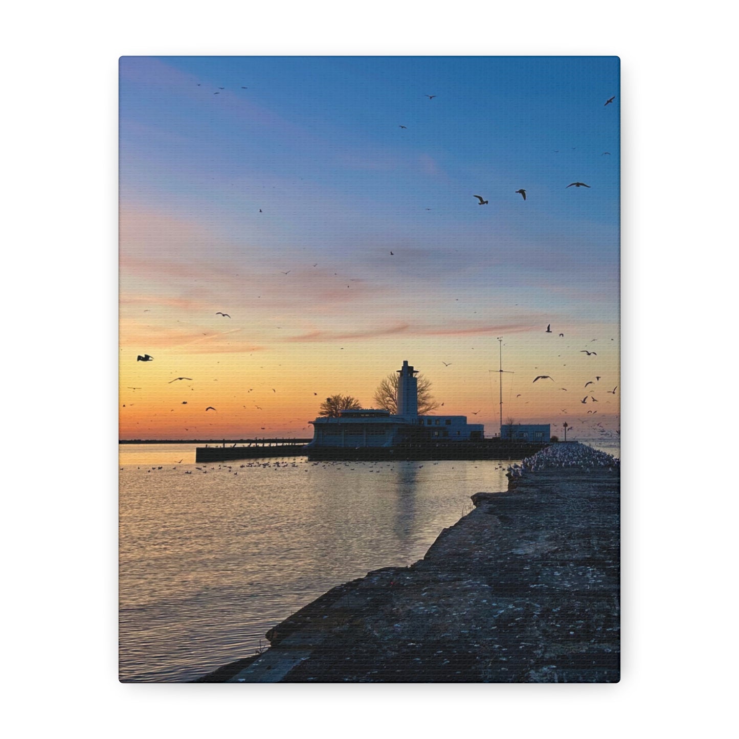 Colorful Canvas Print • "Breakwater Birds" • Vertical or Horizontal orientations • Sizes from 8"x10" to 30"x40"
