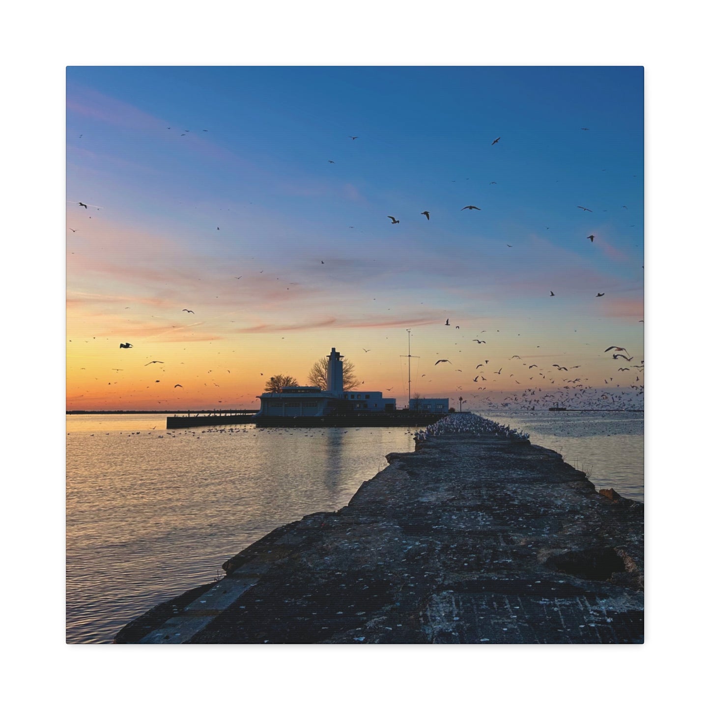 Colorful Canvas Print • "Breakwater Birds" • Vertical or Horizontal orientations • Sizes from 8"x10" to 30"x40"