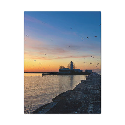Colorful Canvas Print • "Breakwater Birds" • Vertical or Horizontal orientations • Sizes from 8"x10" to 30"x40"