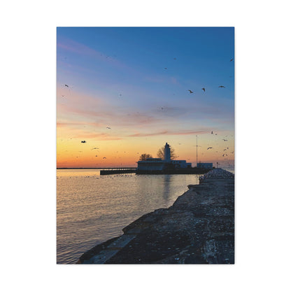 Colorful Canvas Print • "Breakwater Birds" • Vertical or Horizontal orientations • Sizes from 8"x10" to 30"x40"