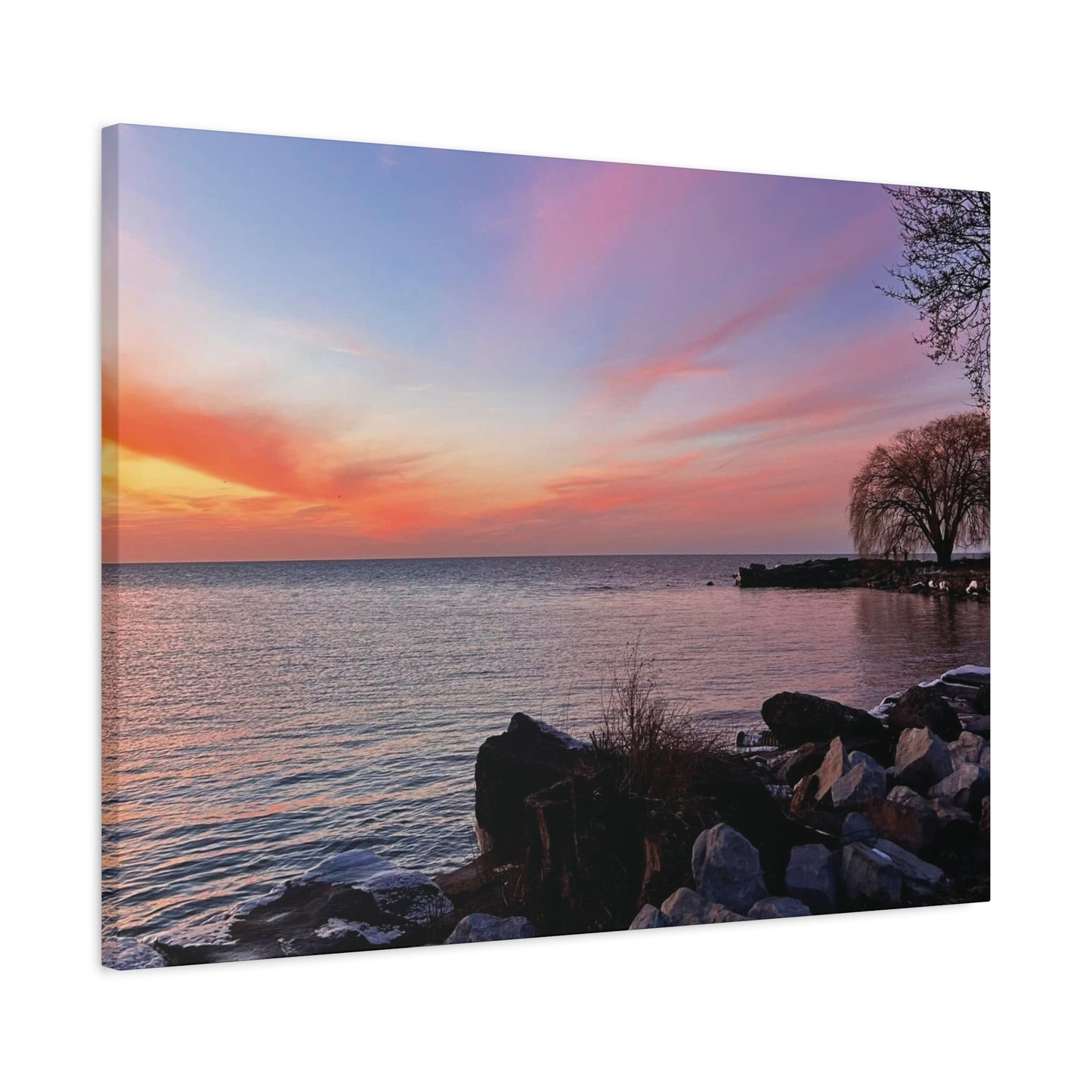Colorful Canvas Print • "Willow at Edgewater" • Vertical or Horizontal orientations • Sizes from 8"x10" to 30"x40"