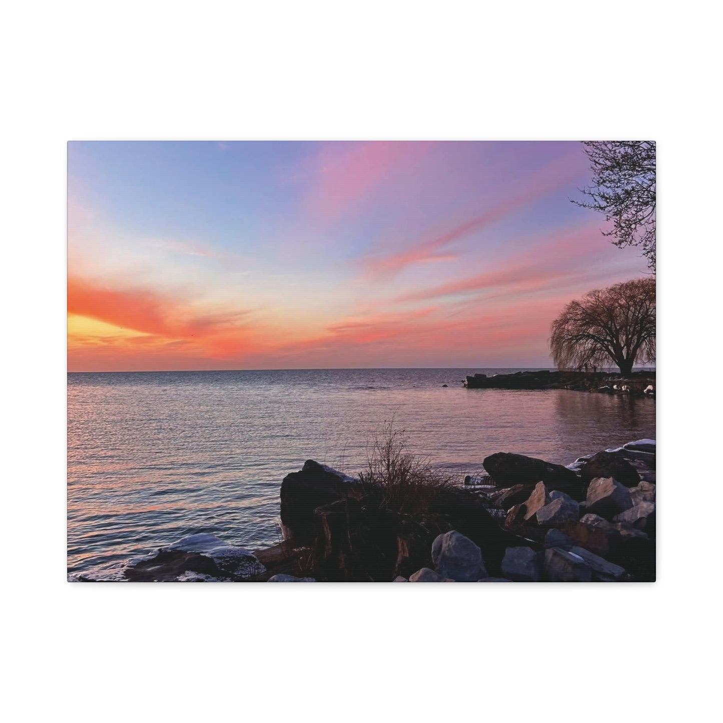 Colorful Canvas Print • "Willow at Edgewater" • Vertical or Horizontal orientations • Sizes from 8"x10" to 30"x40"