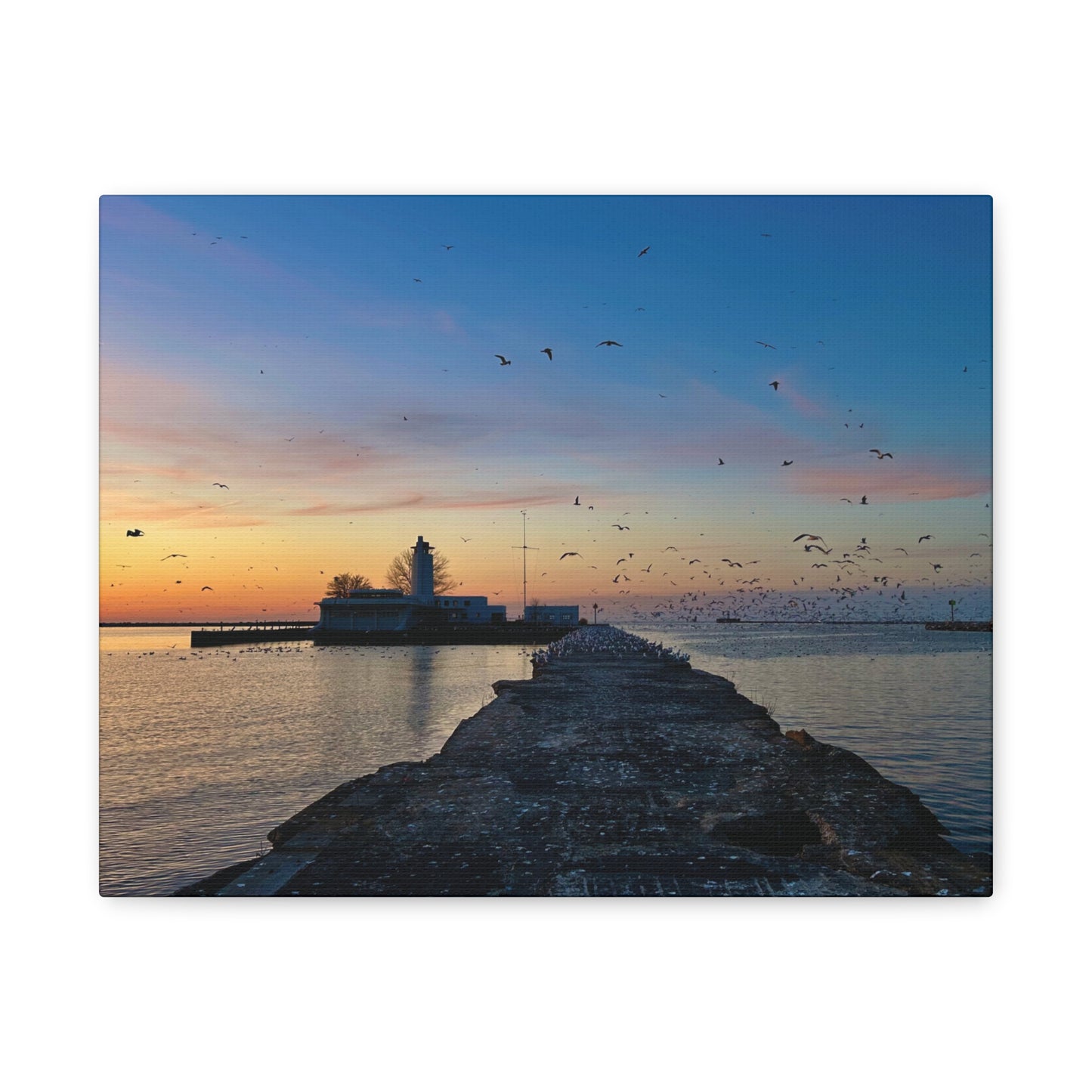 Colorful Canvas Print • "Breakwater Birds" • Vertical or Horizontal orientations • Sizes from 8"x10" to 30"x40"