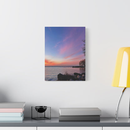 Colorful Canvas Print • "Willow at Edgewater" • Vertical or Horizontal orientations • Sizes from 8"x10" to 30"x40"