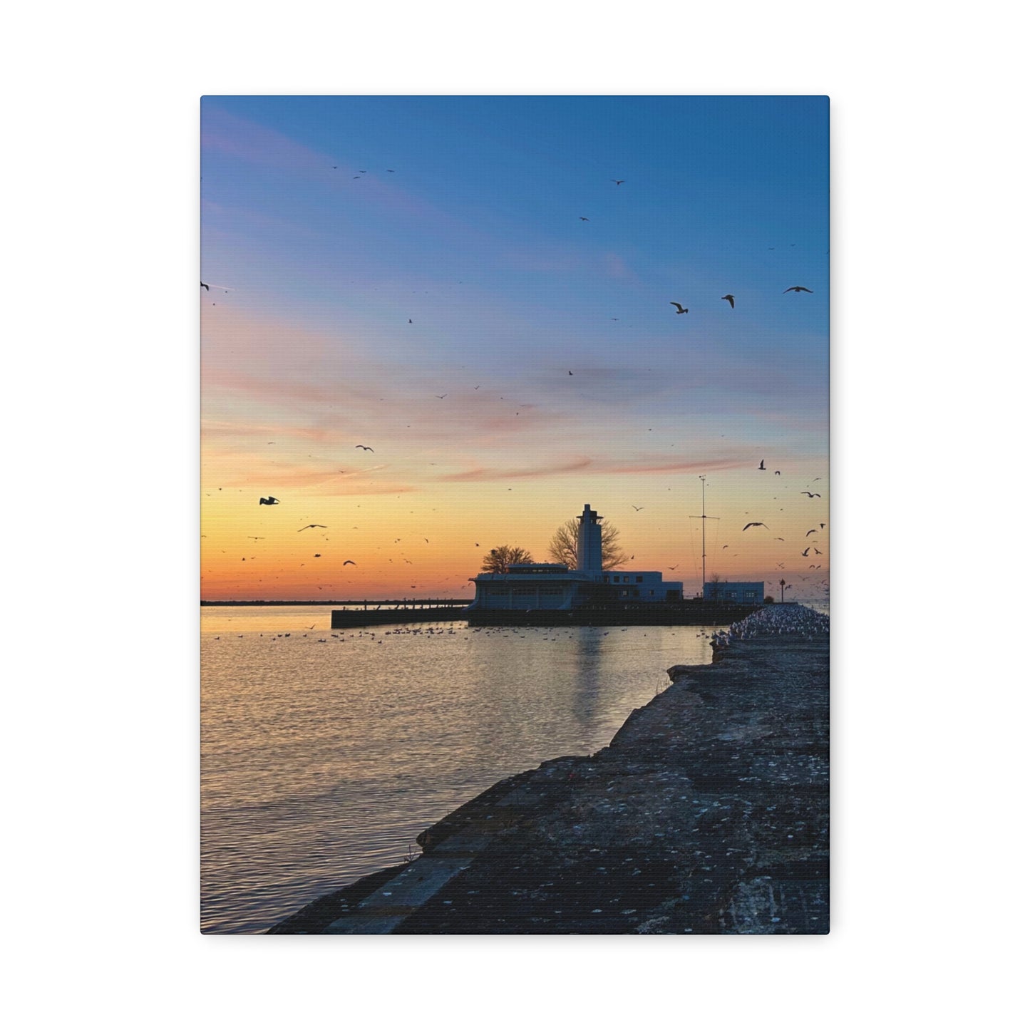 Colorful Canvas Print • "Breakwater Birds" • Vertical or Horizontal orientations • Sizes from 8"x10" to 30"x40"