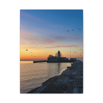 Colorful Canvas Print • "Breakwater Birds" • Vertical or Horizontal orientations • Sizes from 8"x10" to 30"x40"
