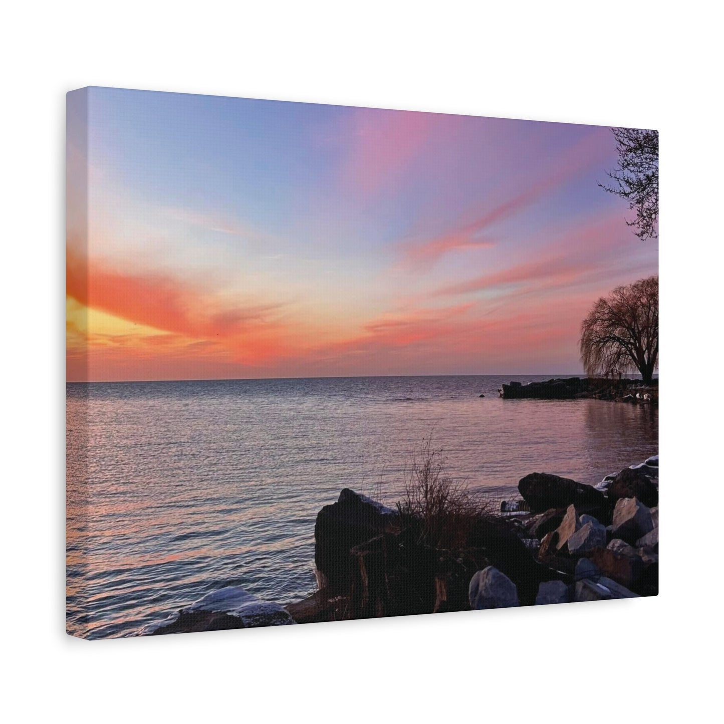 Colorful Canvas Print • "Willow at Edgewater" • Vertical or Horizontal orientations • Sizes from 8"x10" to 30"x40"