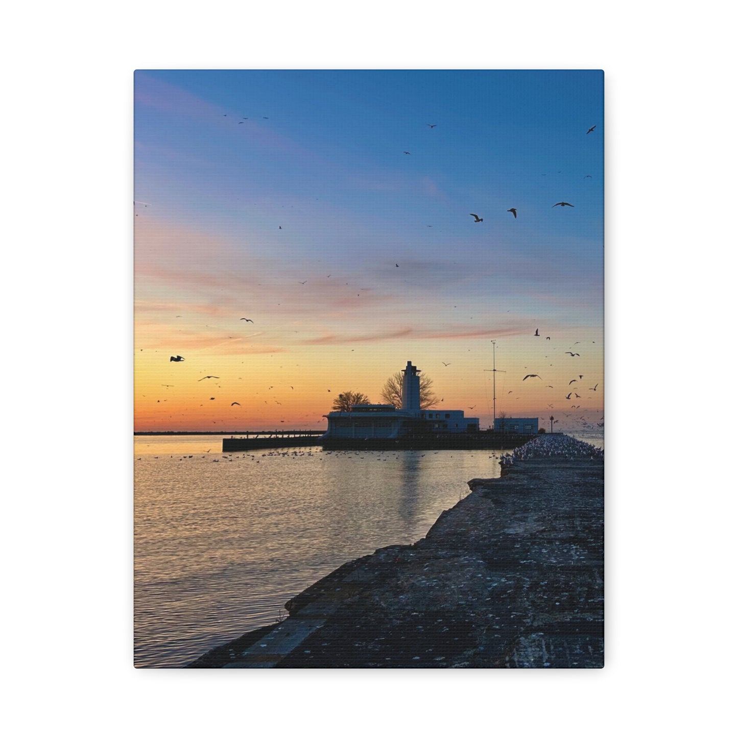 Colorful Canvas Print • "Breakwater Birds" • Vertical or Horizontal orientations • Sizes from 8"x10" to 30"x40"