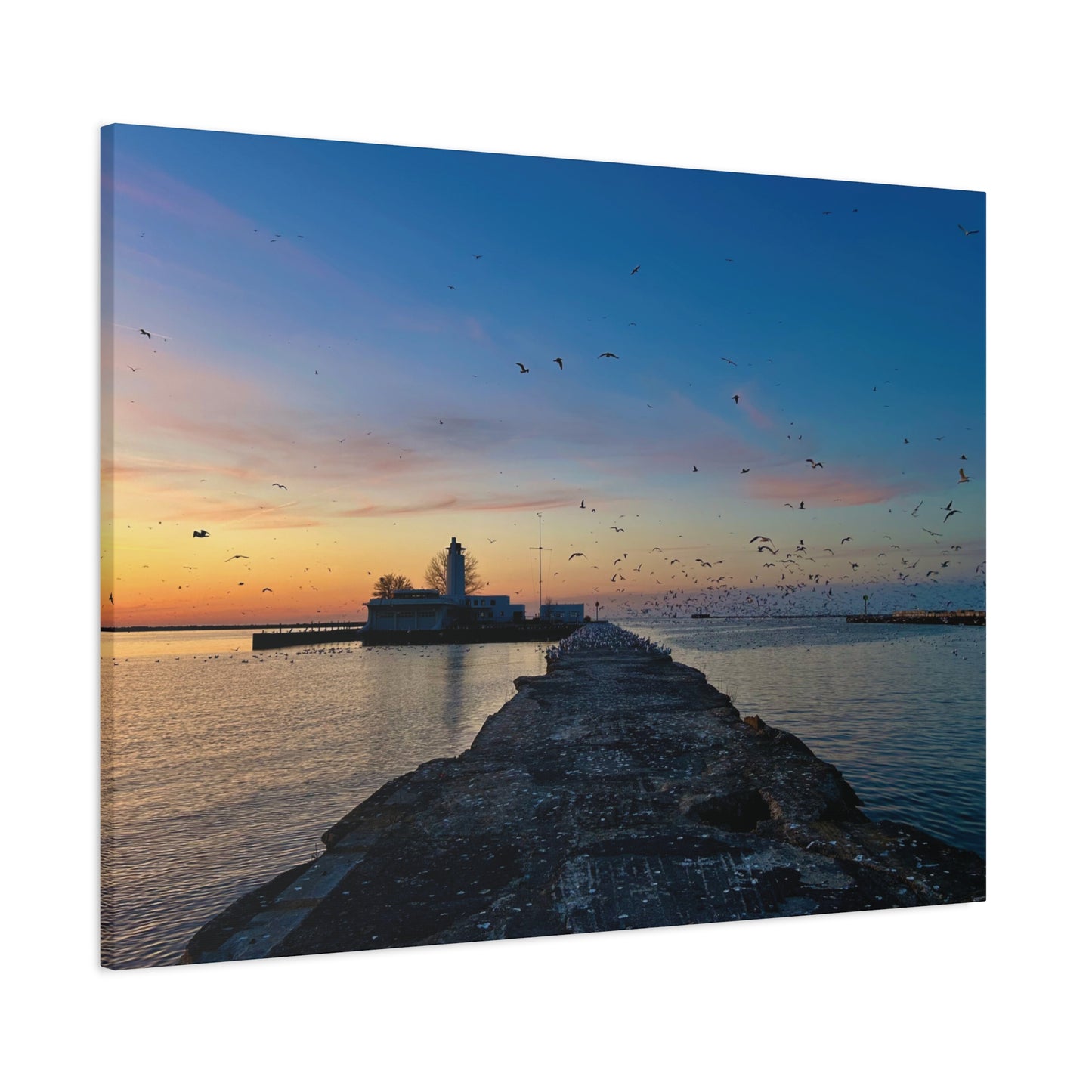Colorful Canvas Print • "Breakwater Birds" • Vertical or Horizontal orientations • Sizes from 8"x10" to 30"x40"