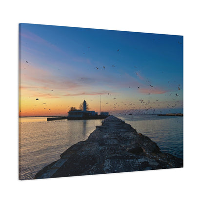 Colorful Canvas Print • "Breakwater Birds" • Vertical or Horizontal orientations • Sizes from 8"x10" to 30"x40"