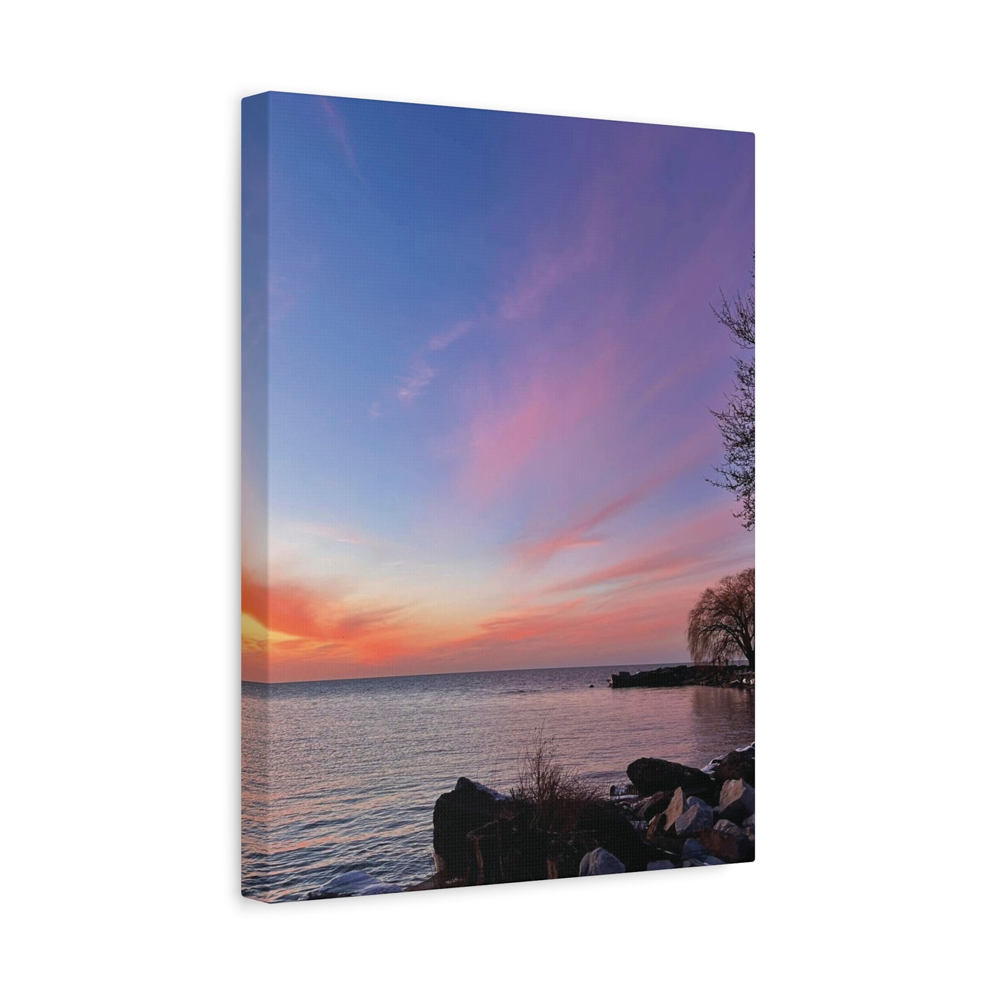 Colorful Canvas Print • "Willow at Edgewater" • Vertical or Horizontal orientations • Sizes from 8"x10" to 30"x40"