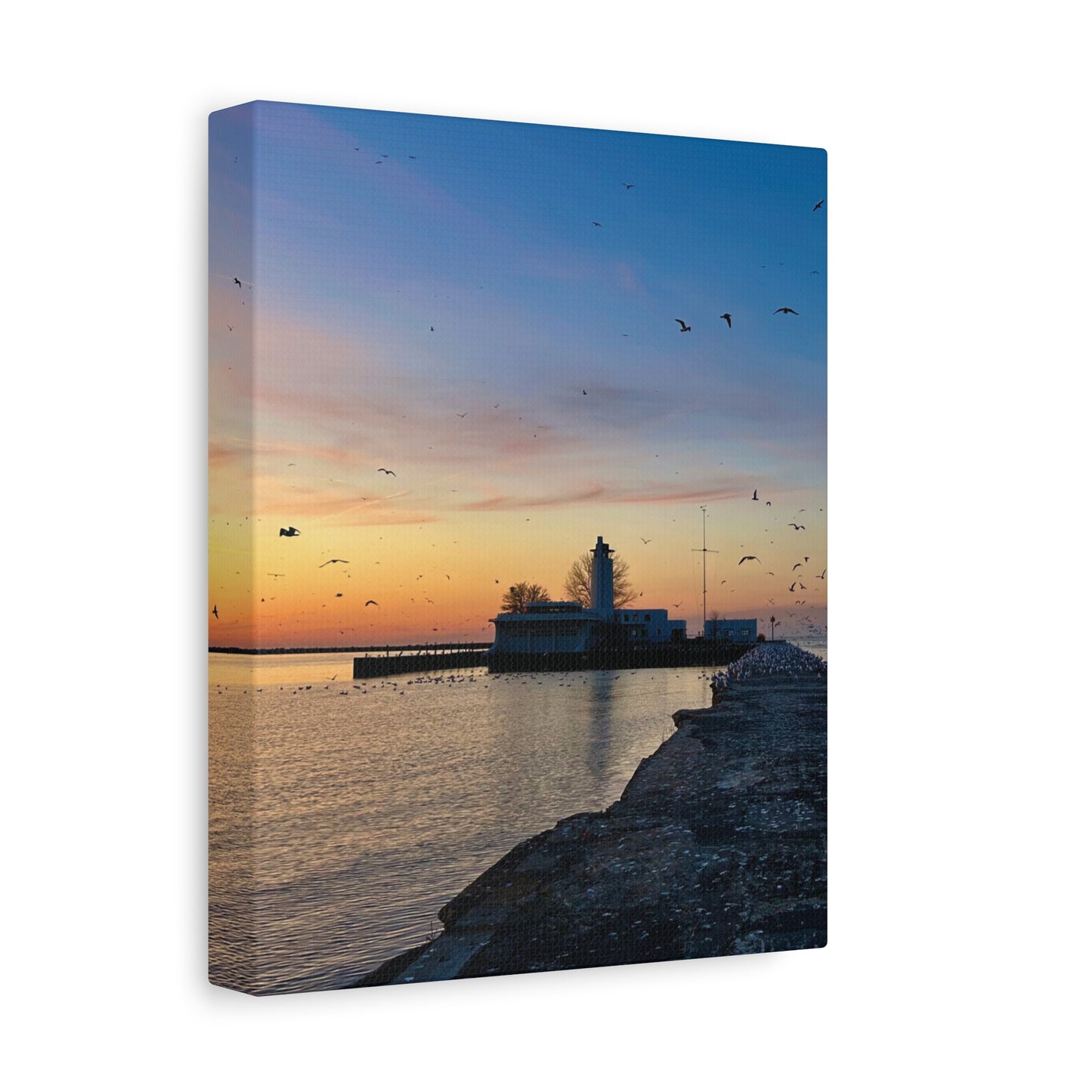 Colorful Canvas Print • "Breakwater Birds" • Vertical or Horizontal orientations • Sizes from 8"x10" to 30"x40"