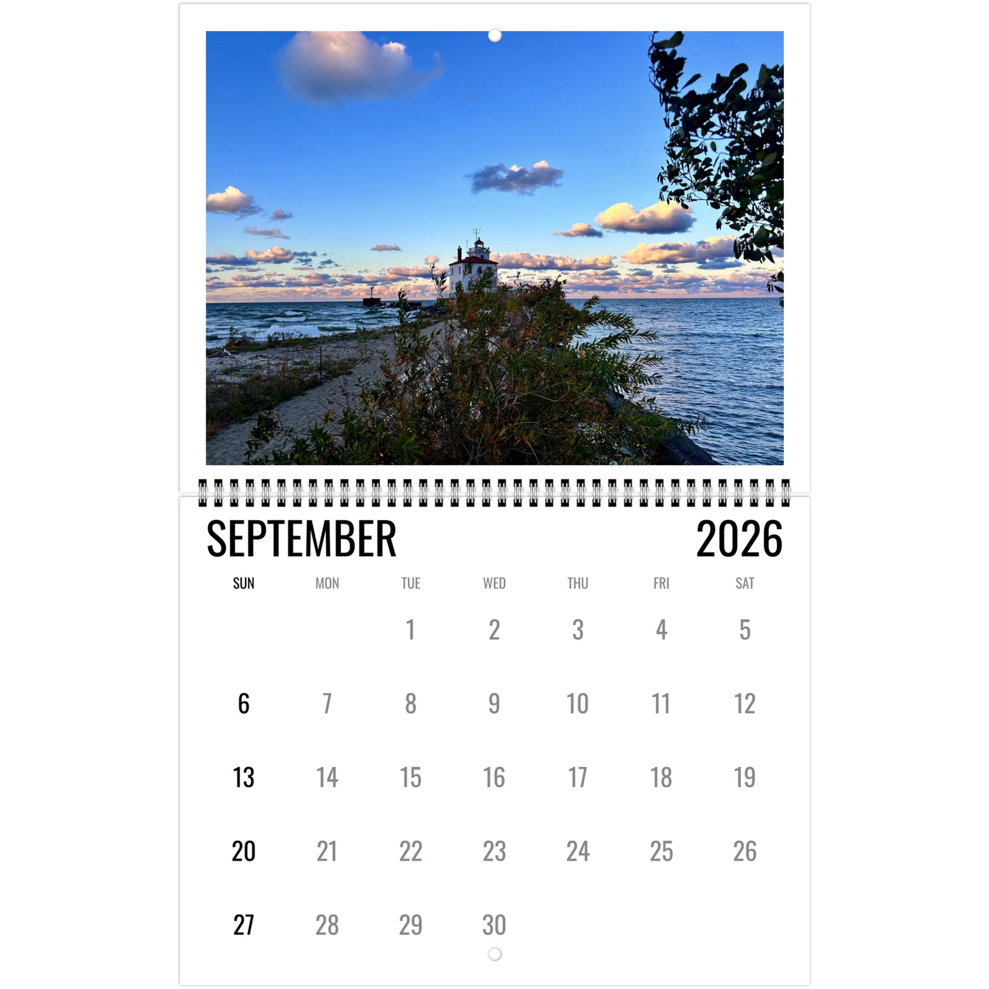 5631d468-c959-478c-87e8-eb45cd2670d7