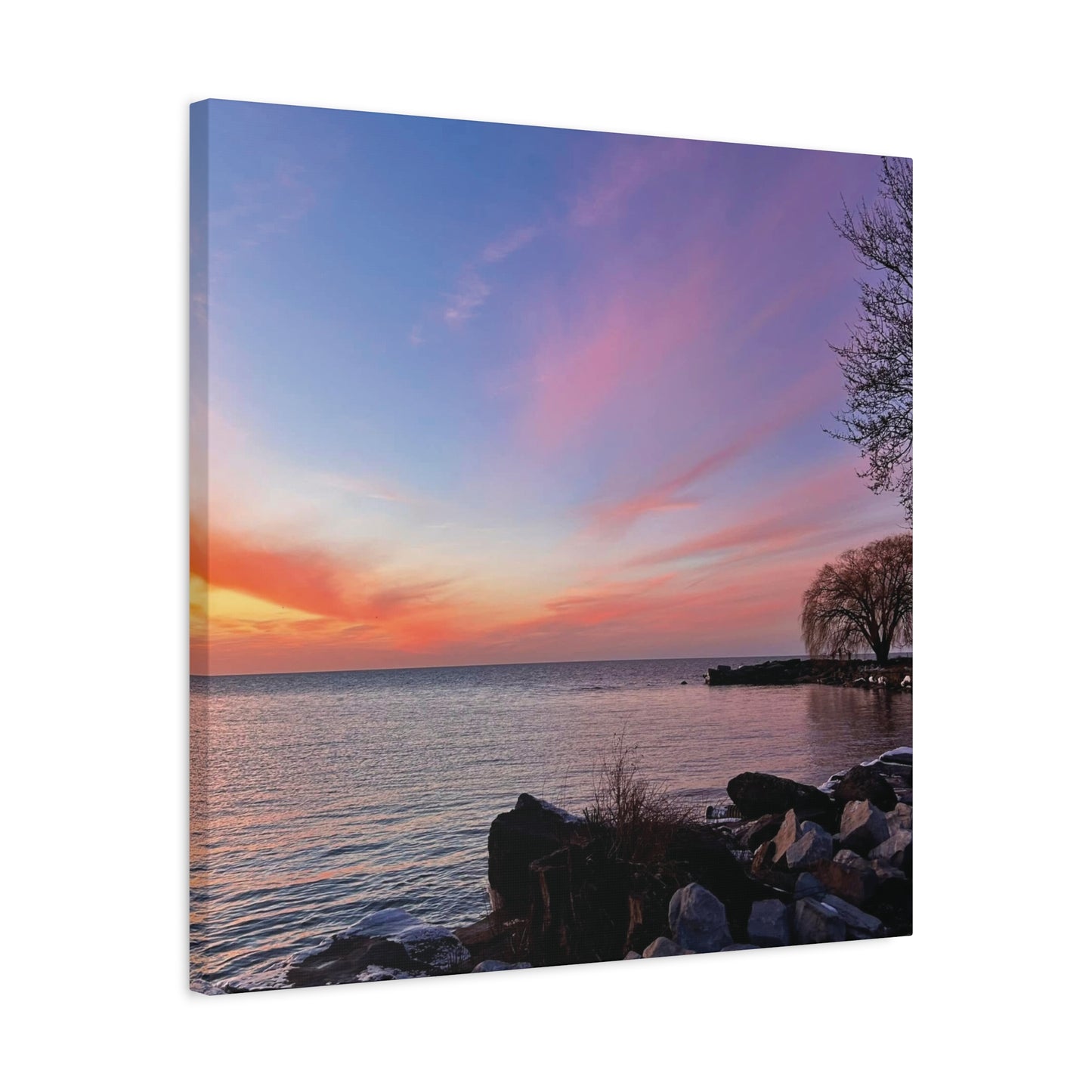Colorful Canvas Print • "Willow at Edgewater" • Vertical or Horizontal orientations • Sizes from 8"x10" to 30"x40"