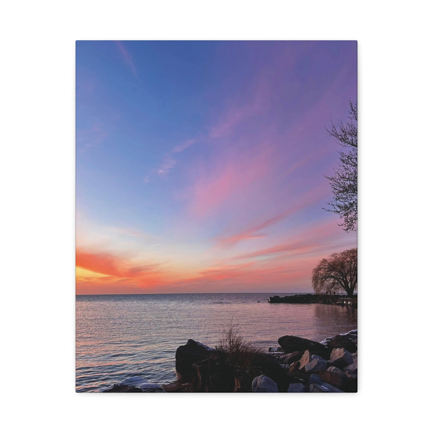 Colorful Canvas Print • "Willow at Edgewater" • Vertical or Horizontal orientations • Sizes from 8"x10" to 30"x40"