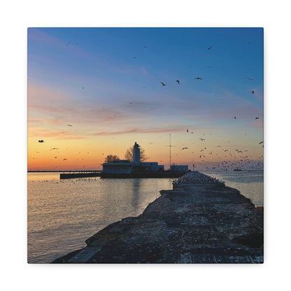 Colorful Canvas Print • "Breakwater Birds" • Vertical or Horizontal orientations • Sizes from 8"x10" to 30"x40"