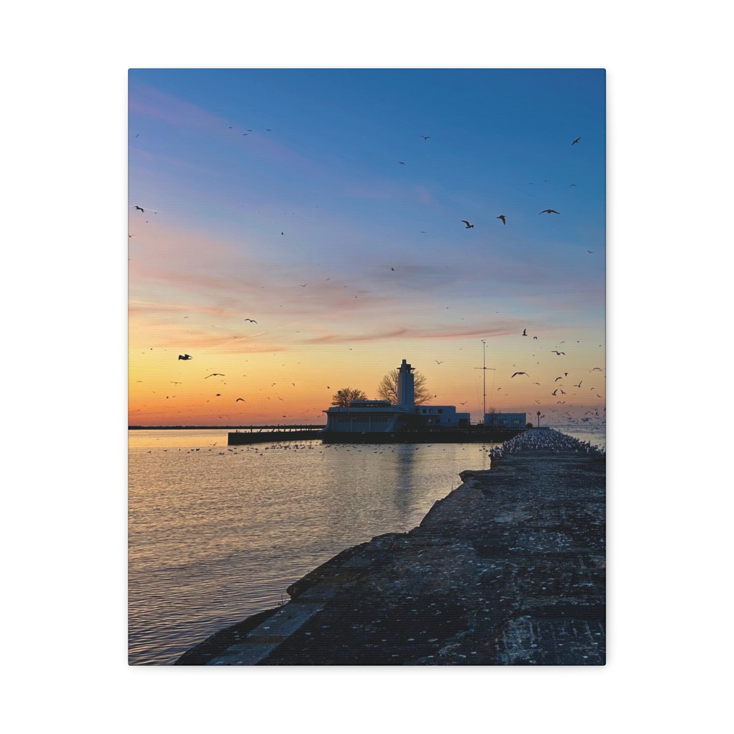 Colorful Canvas Print • "Breakwater Birds" • Vertical or Horizontal orientations • Sizes from 8"x10" to 30"x40"